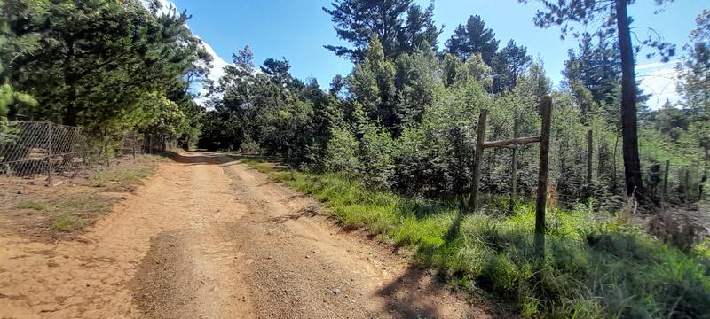 0 Bedroom Property for Sale in Hogsback Eastern Cape
